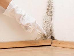 Best Mold Prevention Services in Valinda, CA